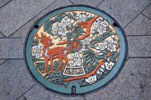 Deer-Manhole-Cover-in-Color-by-jpellgen
